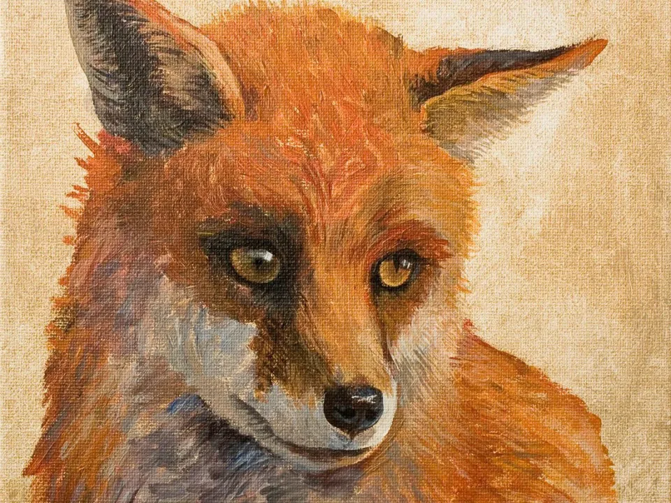 Foxy