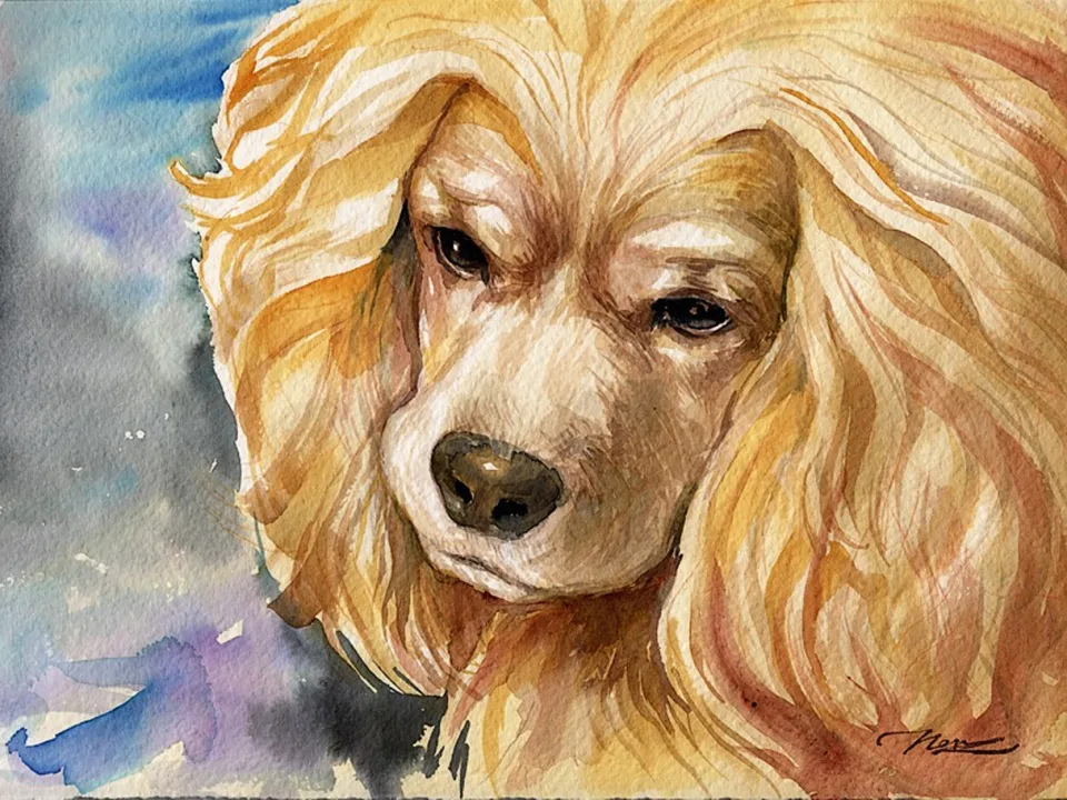 A dog portrait